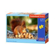 Катеричка в гората, пъзел 180 части