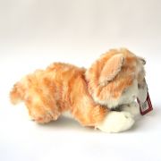 S1475, Плюшено легнало коте