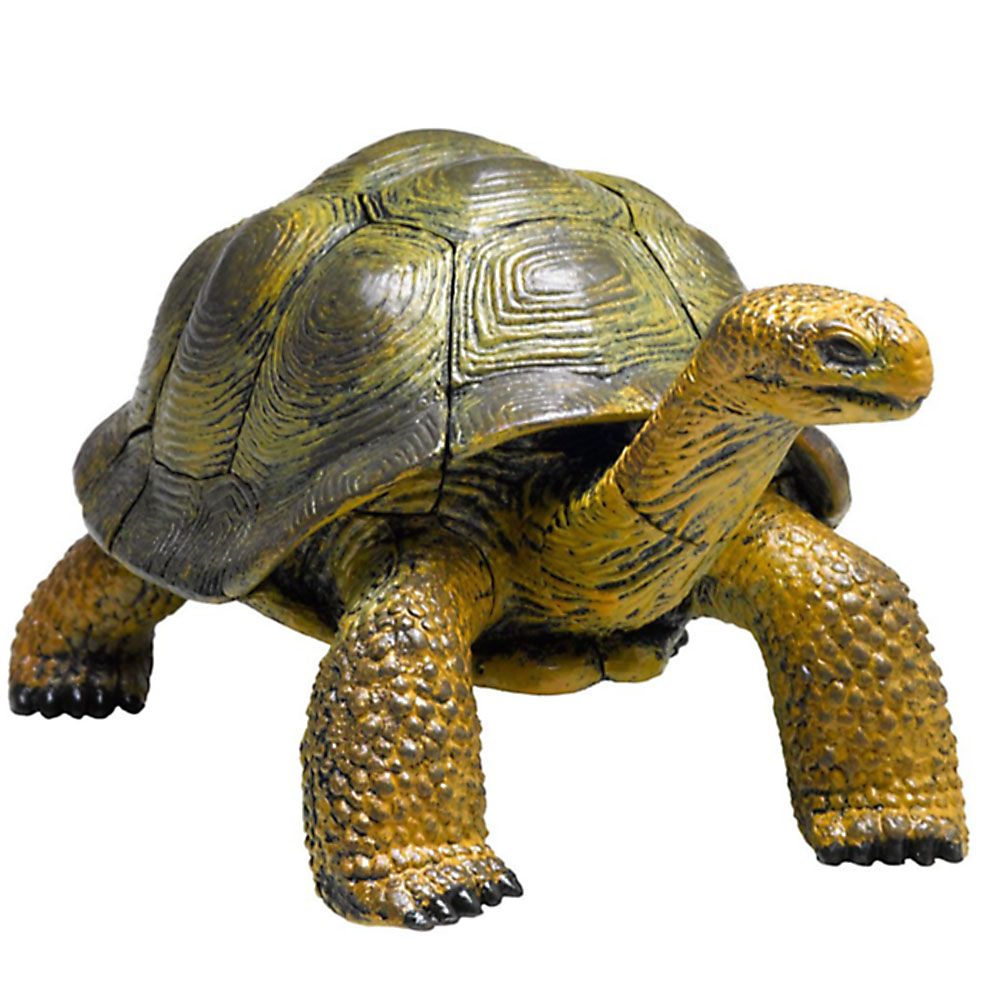 3D пъзел, Галапагоска костенурка, 27 части