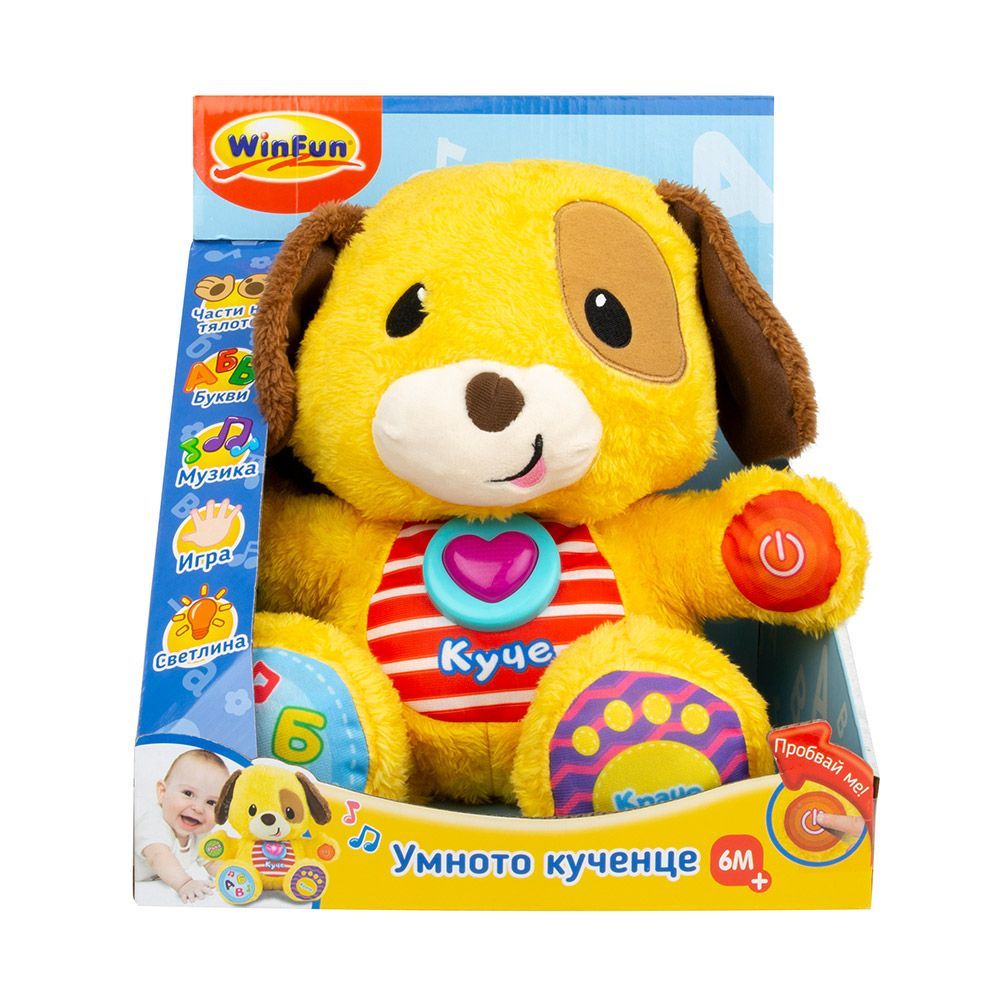 Интерактивно умно куче, Пол, Учи с мен