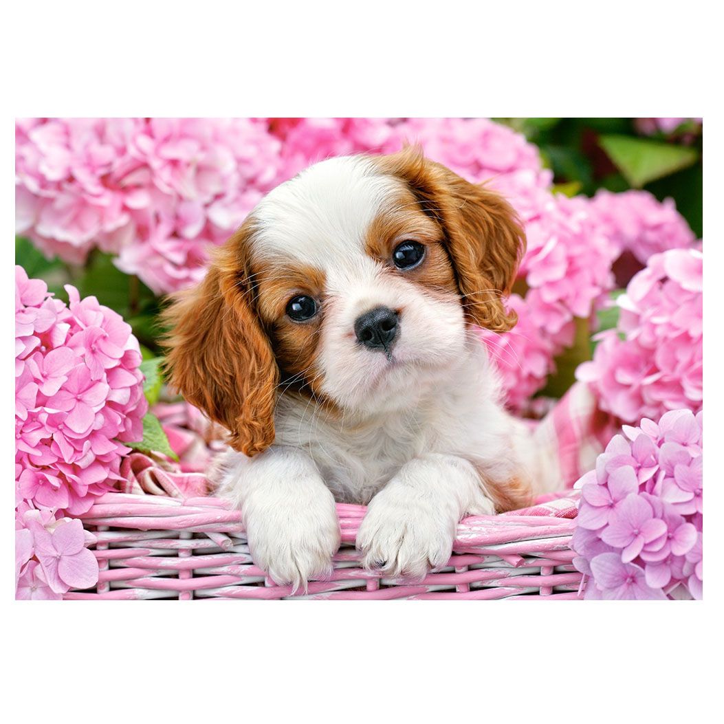 Кученце в розови цветя, пъзел 500 части