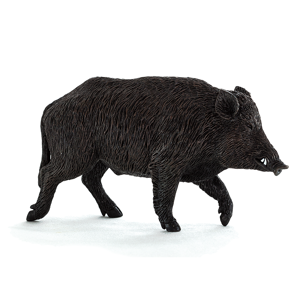 Mojo ANIMAL PLANET, Фигурка за игра и колекциониране, Диво прасе