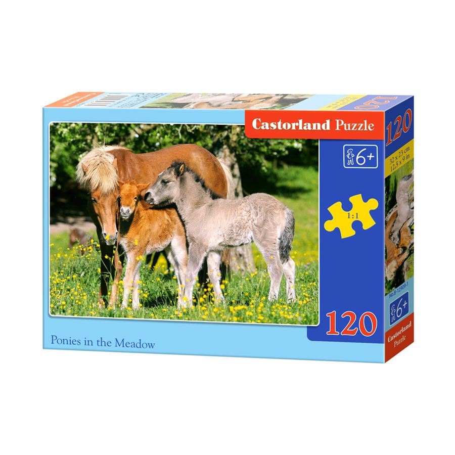 Castorland, Понита на поляна, пъзел 120 части