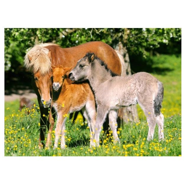 Понита на поляна, пъзел 120 части