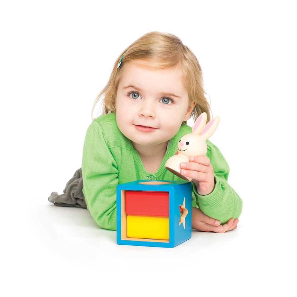 Логически 3D пъзел, Извади Зайчето