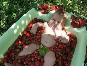 305-r3l8t8d-600-berry