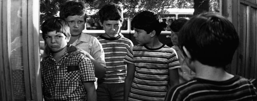 Таралежите се раждат без бодли